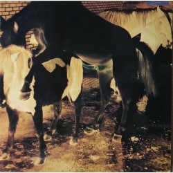 Colourbox - Colourbox MAD 315