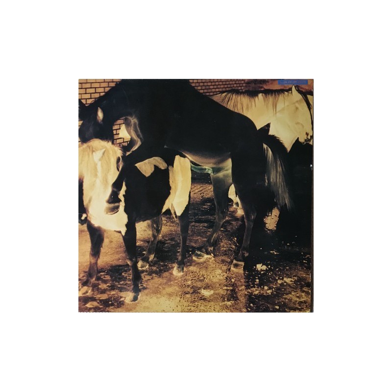 Colourbox - Colourbox MAD 315