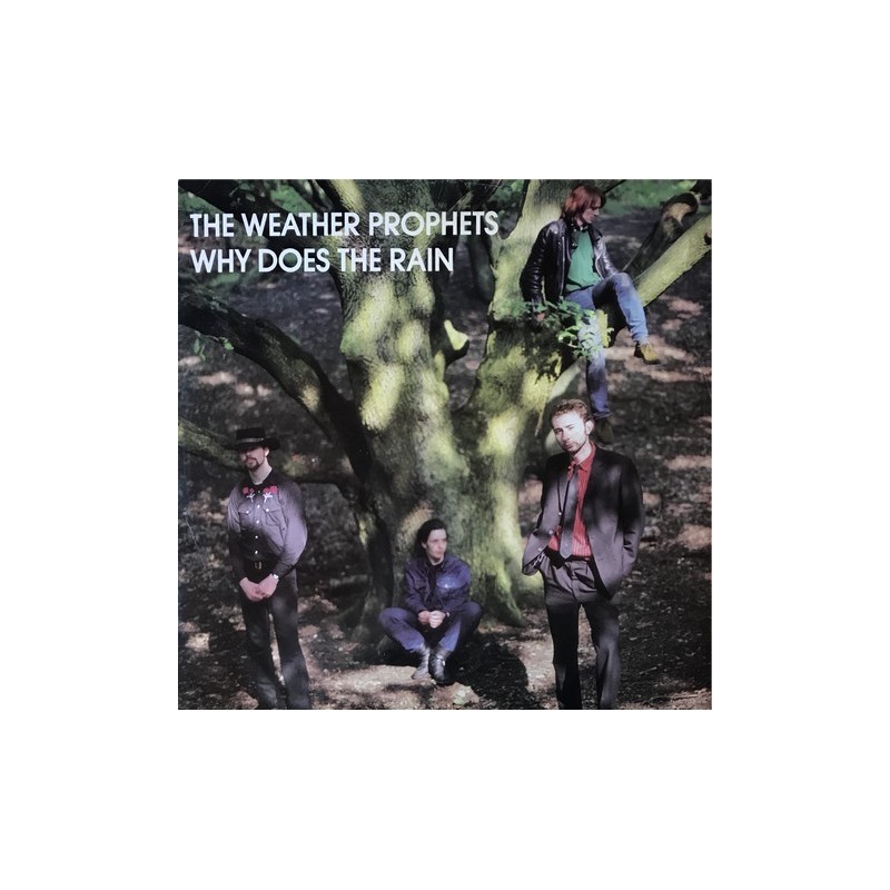 Weather prophets - Why Does The Rain ACID 2T
