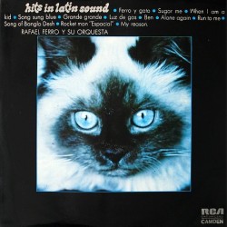 Rafael Ferro - Hits in Latin sound CAS-224