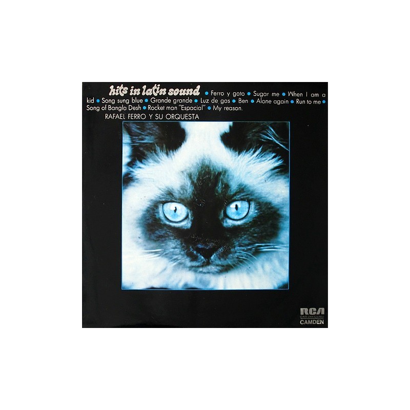 Rafael Ferro - Hits in Latin sound CAS-224