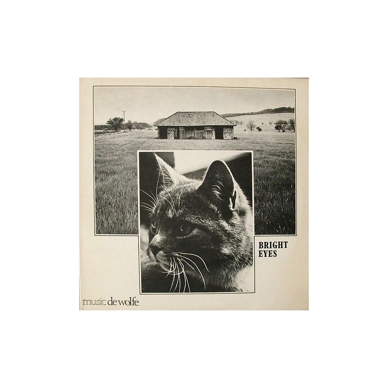 Clearwater Ensemble - Bright eyes DWS/LP 3477