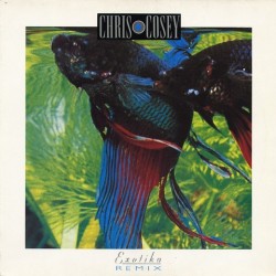 Chris and cosey - Exotika (remix) RAYA 022