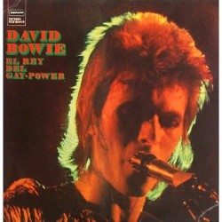 David Bowie - El Rey del Gay-Power DCS 15044/5