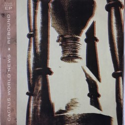 Cactus world news - Rebound MCAT 1340