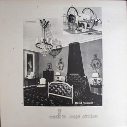 David Prescott - Walking in slow circles VPAG-LP 4455