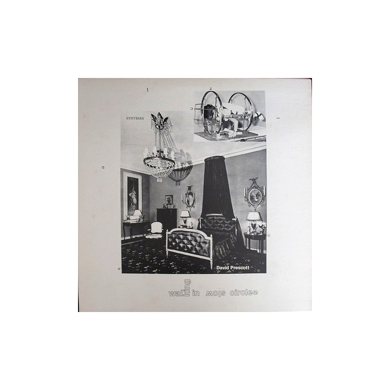 David Prescott - Walking in slow circles VPAG-LP 4455