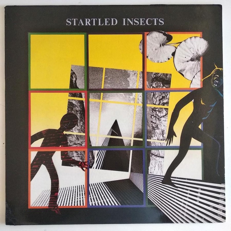 Startled Insects - Startled Insects AN10A ML 1