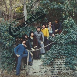 Cimarron - Cimarrón Z-2024