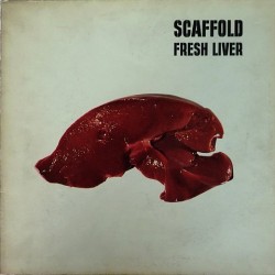 Scaffold - Fresh Liver 86968