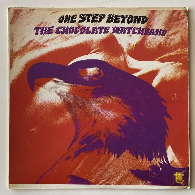 Chocolate Watchband - One Step Beyond ST 5153