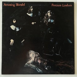 Amazing Blondel - Fantasia Lindum ILPS 19156