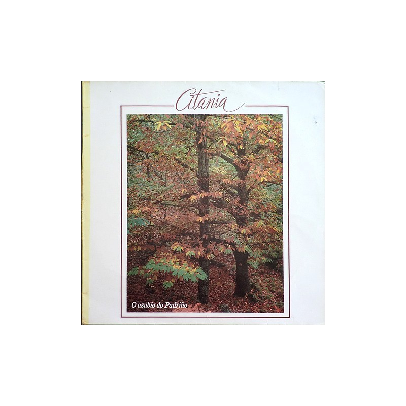 Citania - o asubio do Padriño J-101