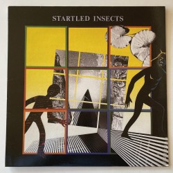 Startled Insects - Startled Insects AN10A ML 1