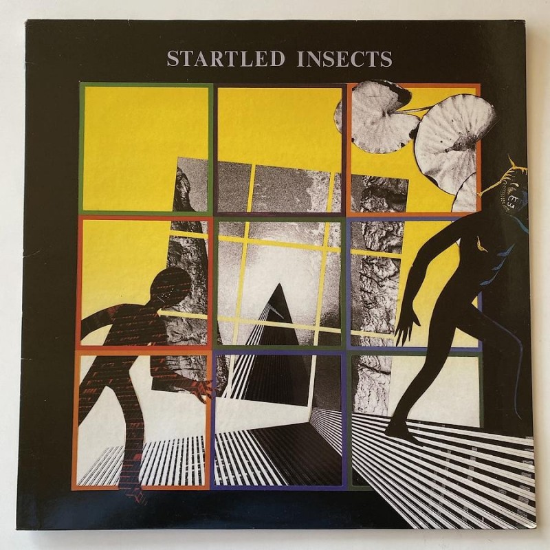 Startled Insects - Startled Insects AN10A ML 1
