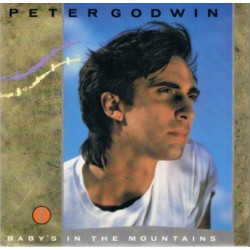 Godwin - Baby's in the mountains (New York Remix) 815 536-1