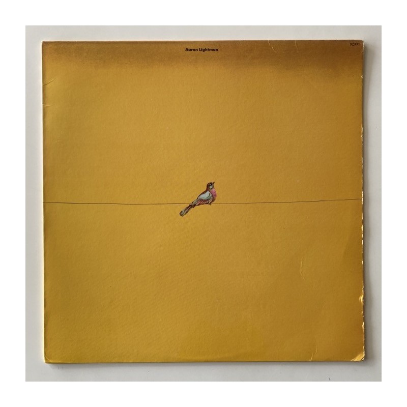 Aaron Lightman - Aaron Lightman PYS-40010