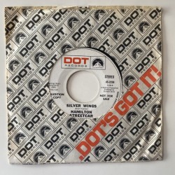 Hamilton Streetcar - I see I am 45-2258