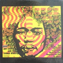 Jeff Cooper and the stoned Wings - Tribute to Jimi Hendrix E454