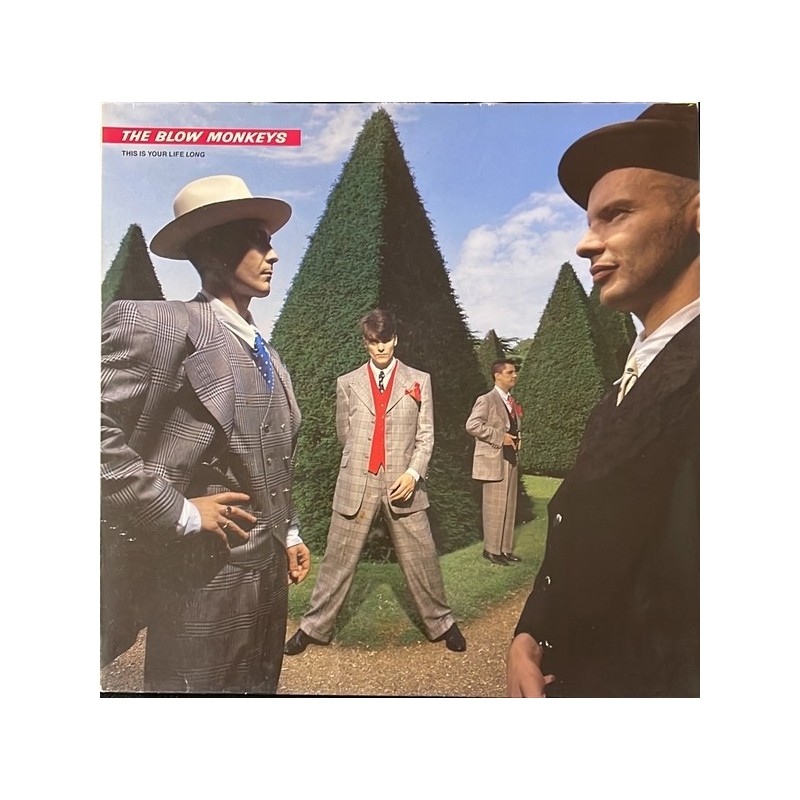 The Blow Monkeys With Curtis Mayfield  - This Is Your Life Long PT42150