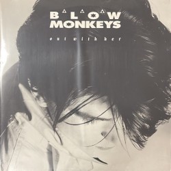 The Blow Monkeys With Curtis Mayfield  - Out With Her MONK 5D