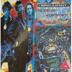 Brilliant - It's a man's man's man's world 248 961-0
