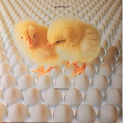 Frazier Chorus - Walking On Air VST 1330