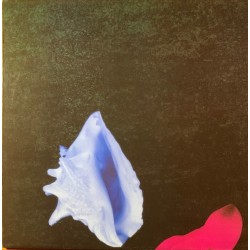 New Order  - Touched By The Hand Of God FAC 193