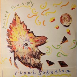 Peter Murphy - Final Solution BEG 143 T