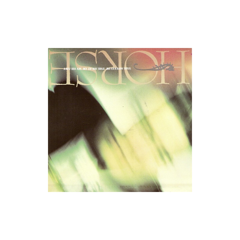 Horse - The speed of the beat of my heart 12CL566