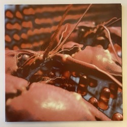 Cranium Pie - Mechanism Pt.1 Winkle 2