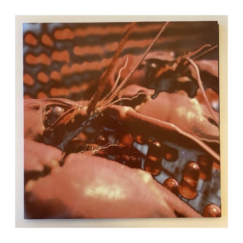 Cranium Pie - Mechanism Pt.1 Winkle 2