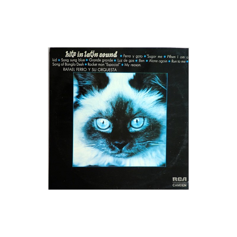 Rafael Ferro - Hits in Latin sound CAS-224