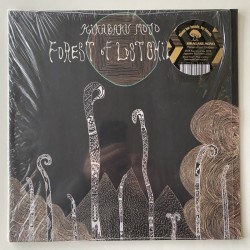 Kikagaku Moyo - Forest of Lost Children BBIBR013