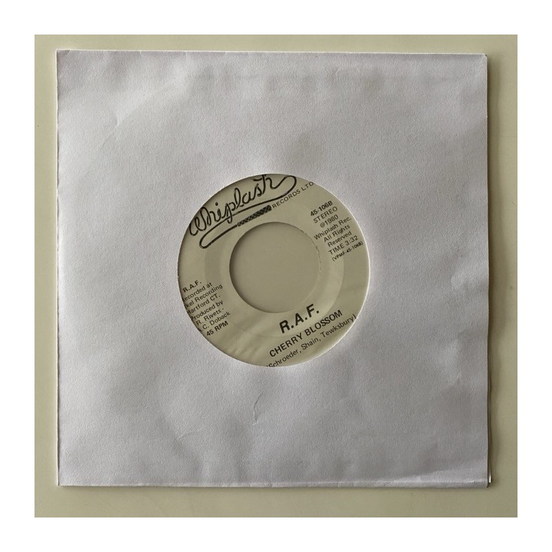 R.A.F. - Echoes of a Slamming Door 45-106