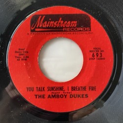 Amboy Dukes - You talk sunshine