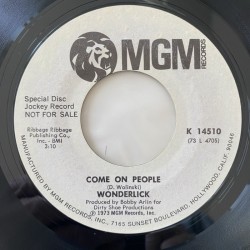 Wonderlick - Hey Joe K 14510