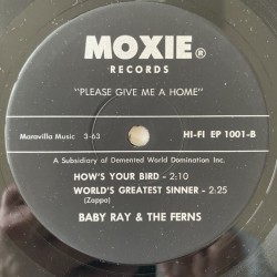 Ned & Nelda / Baby Ray and the Ferns - Please Give me a home HI-FI EP 1001