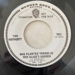 Tom Northcott - Sunny Goode Street 7051