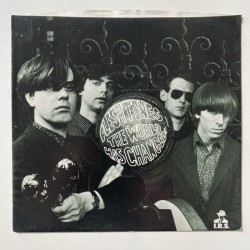 Fleshtones - The World has Changed IR 9024