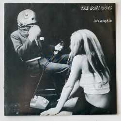 The Soft Boys - He’s a Reptile DING 4