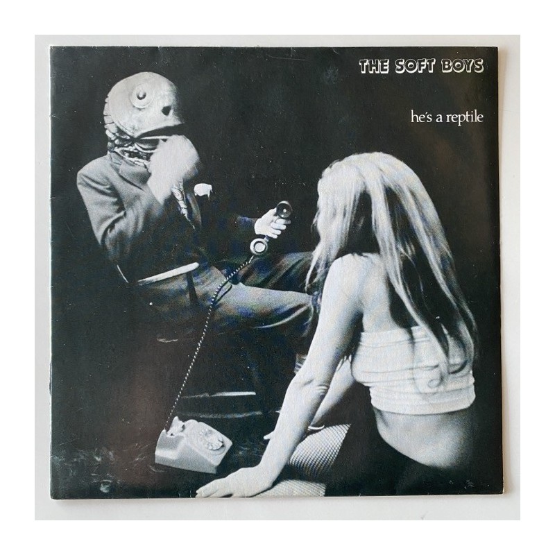 The Soft Boys - He’s a Reptile DING 4