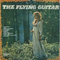 Flying Guitar - the flying guitar 22545