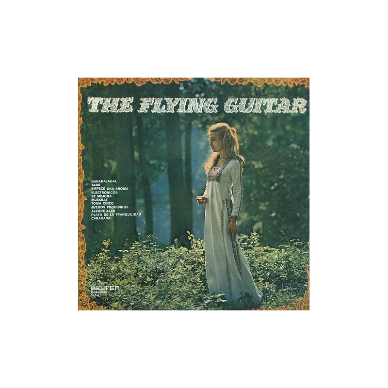 Flying Guitar - the flying guitar 22545