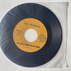 The Vegetables - The Last Thing on my mind No. 23