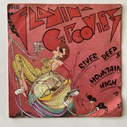 Flamin’ Groovies - River Deep Mountain High 49.785