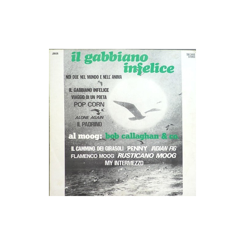 Bob Callaghan & Co. - Here is the  Moog SM 3426