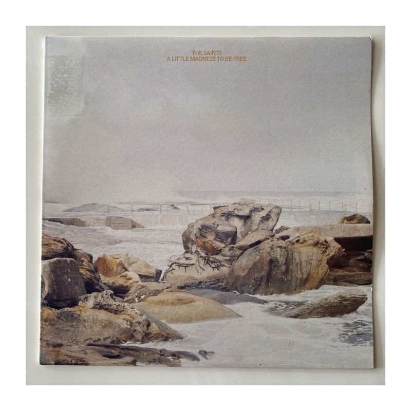 The Saints - A Little Madness to be Free L19352