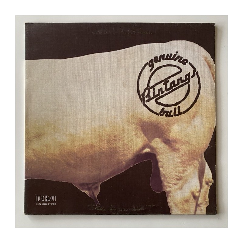 Bintangs - Genuine Bull YHPL-10982