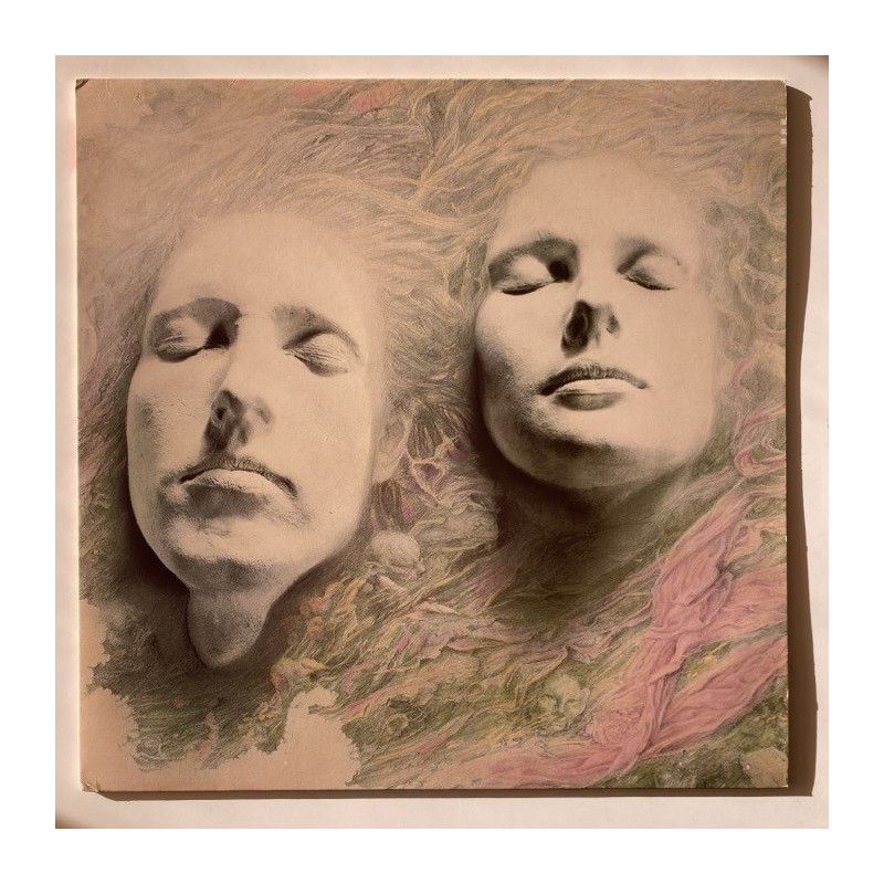 Shelleyan Orphan - Helleborine ROUGH 97